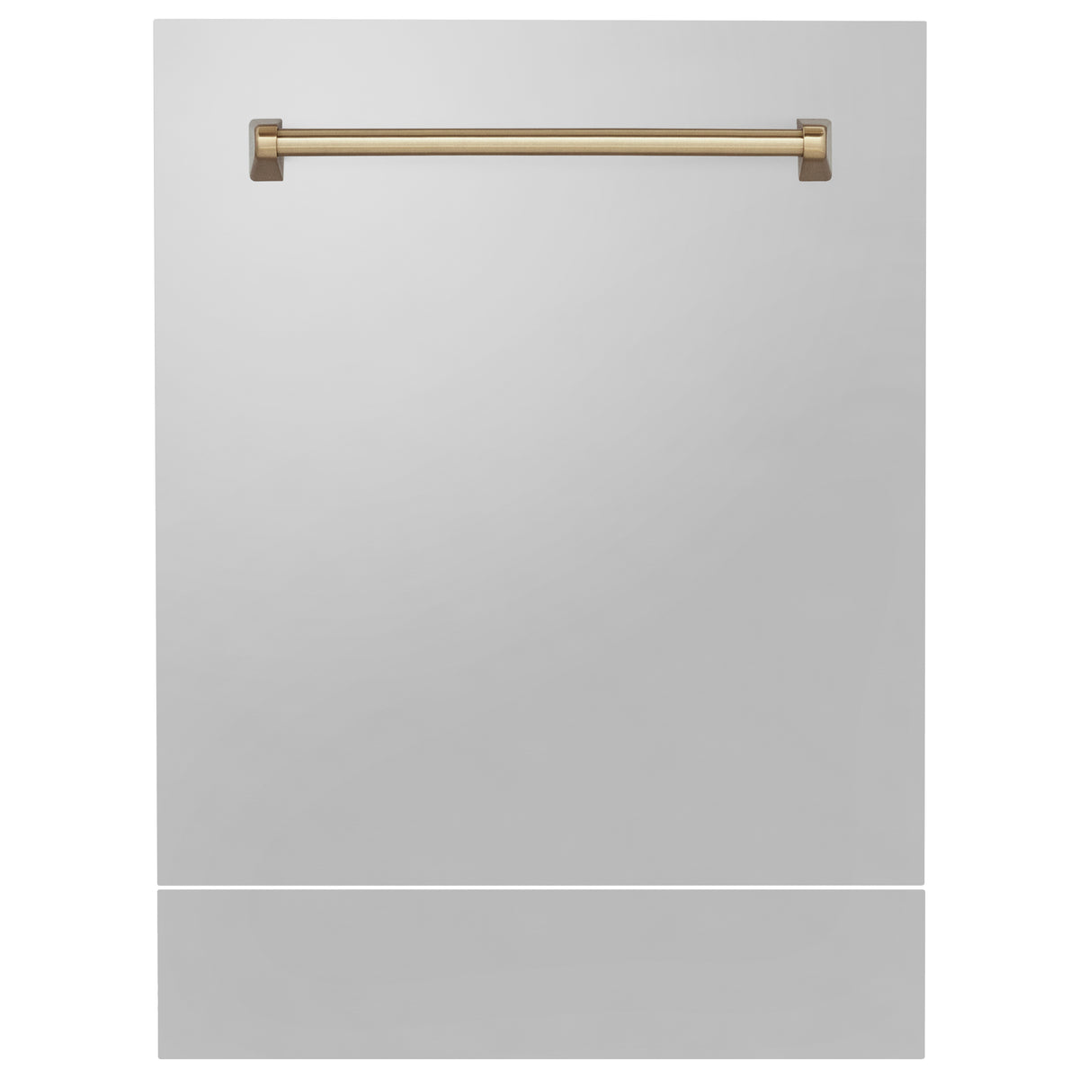ZLINE 24" Autograph Edition Tallac Dishwasher Panel in Stainless Steel